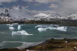 Fortuna Bay with Icebergs