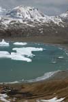 Fortuna Bay with Icebergs