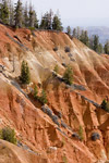 Bryce Canyon Landscape