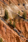 Bryce Canyon Landscape