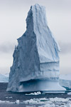 Iceberg