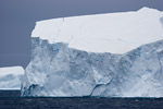 Iceberg