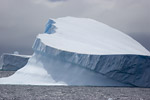 Iceberg