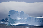 Iceberg