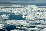 Sea Ice