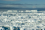 Sea Ice