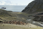 Baily Head Landscape