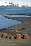 Whaler's Bay Landscape