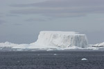 Iceberg