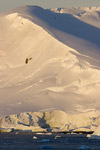 Grandidier Channel Landscape