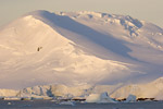 Grandidier Channel Landscape