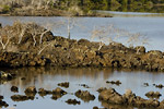 Floreana Lagoon