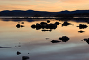 Mono Lake Landscape