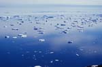 Sea Ice Near Paulet