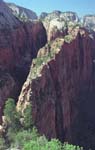 Zion Canyon from Angel's Landing