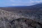 Volcanic Landscape