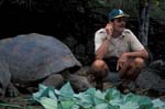 Ron and a Galapagos Tortoise