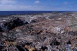 Tower Island Landscape