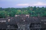 Angkor Wat and Jungle